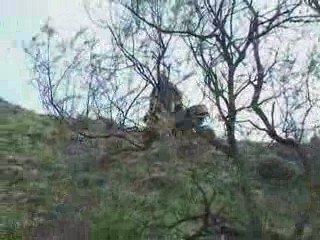 Quad 2 trial decente