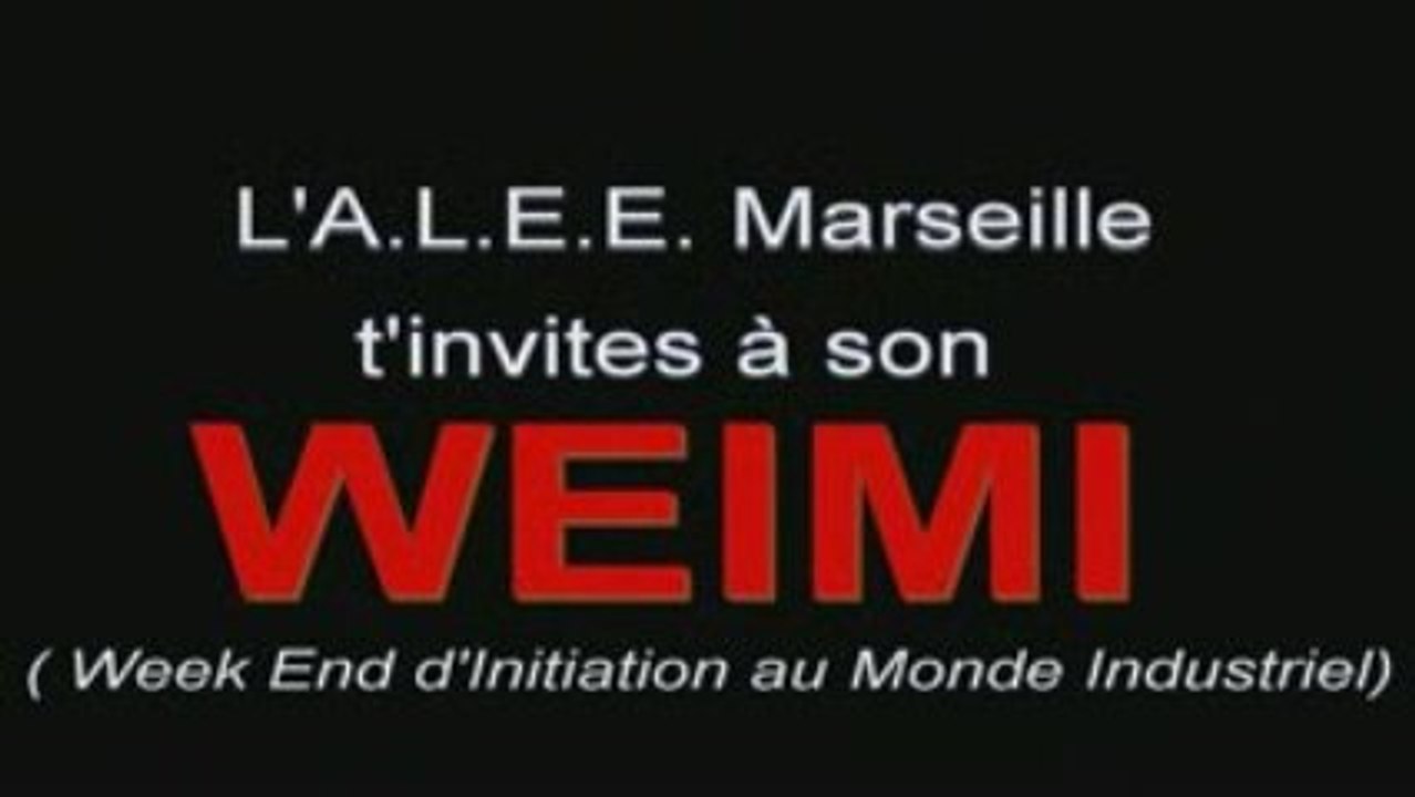 WEIMI 2009 Alee