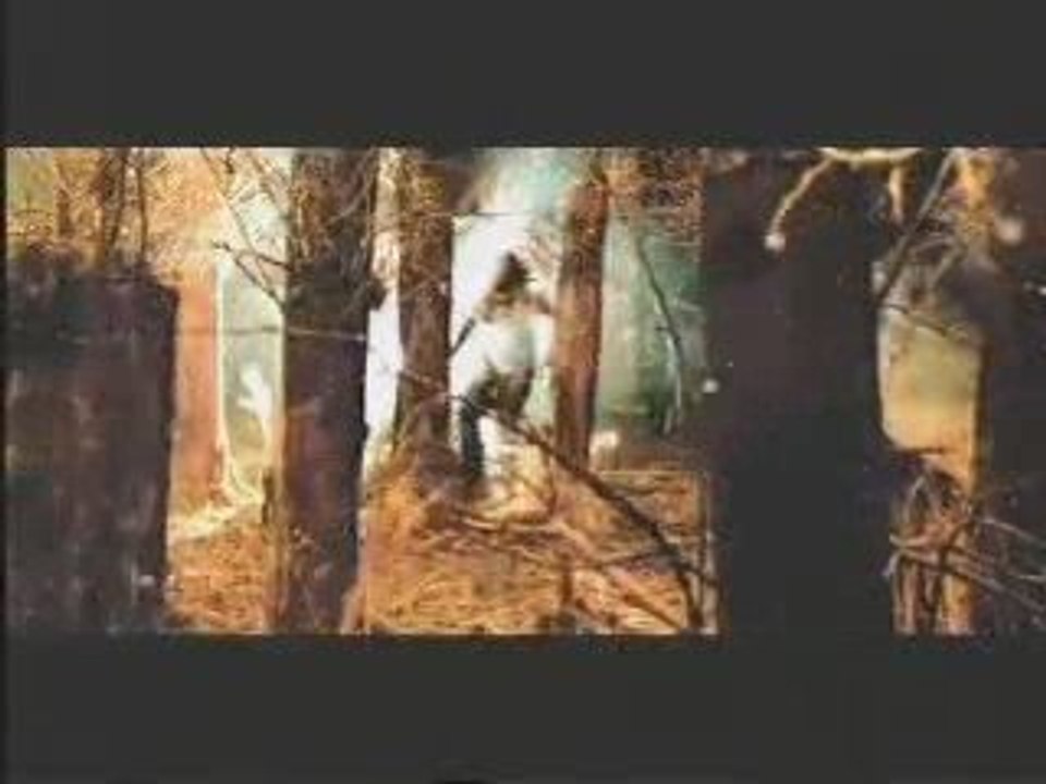 FADY ANDRAOS==> FLESTINE WE LEBNAN