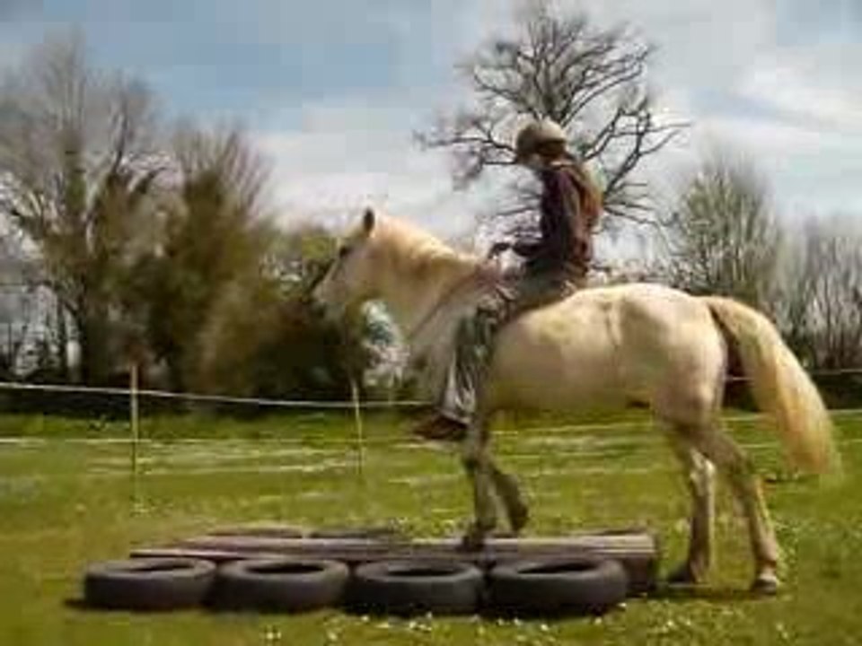 Coquette reculé sur les palettes en cordelette.