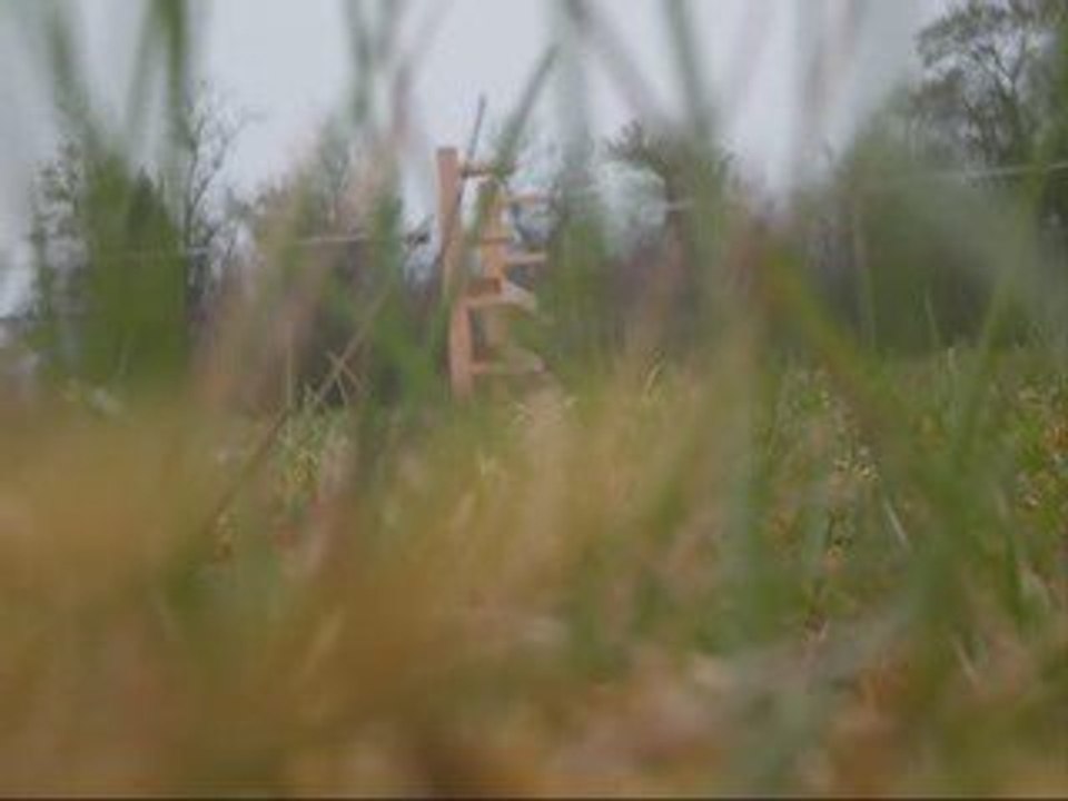 Petit Saut avec ma Pium D'amour