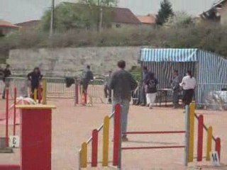 Concours d'agility Saint Martin la plaine 12 avril 2009
