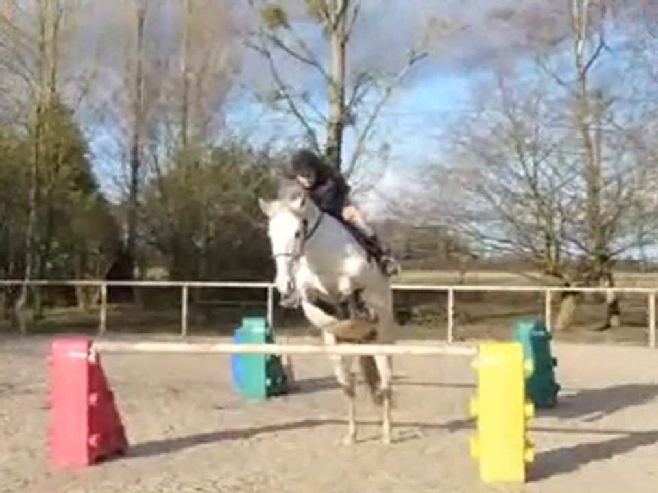 Rola: obstacle en licol