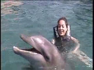 Nadando con delfines