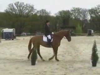 concours dardilly