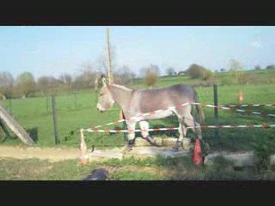 martin 090409