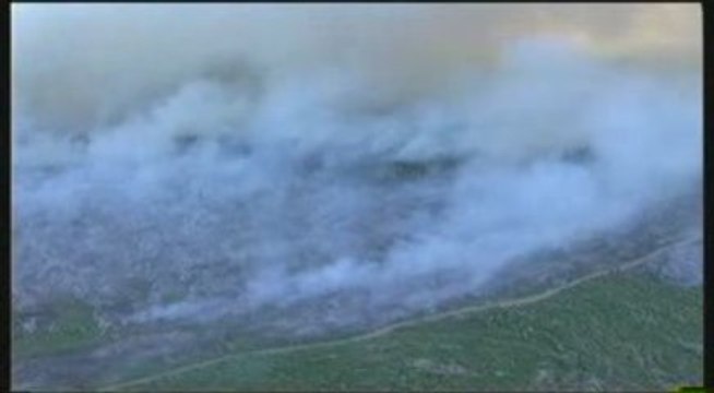 Profit déforestation et Mondialisation au nom du progrès 2/2