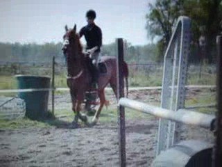 charly vertical *2 14.04