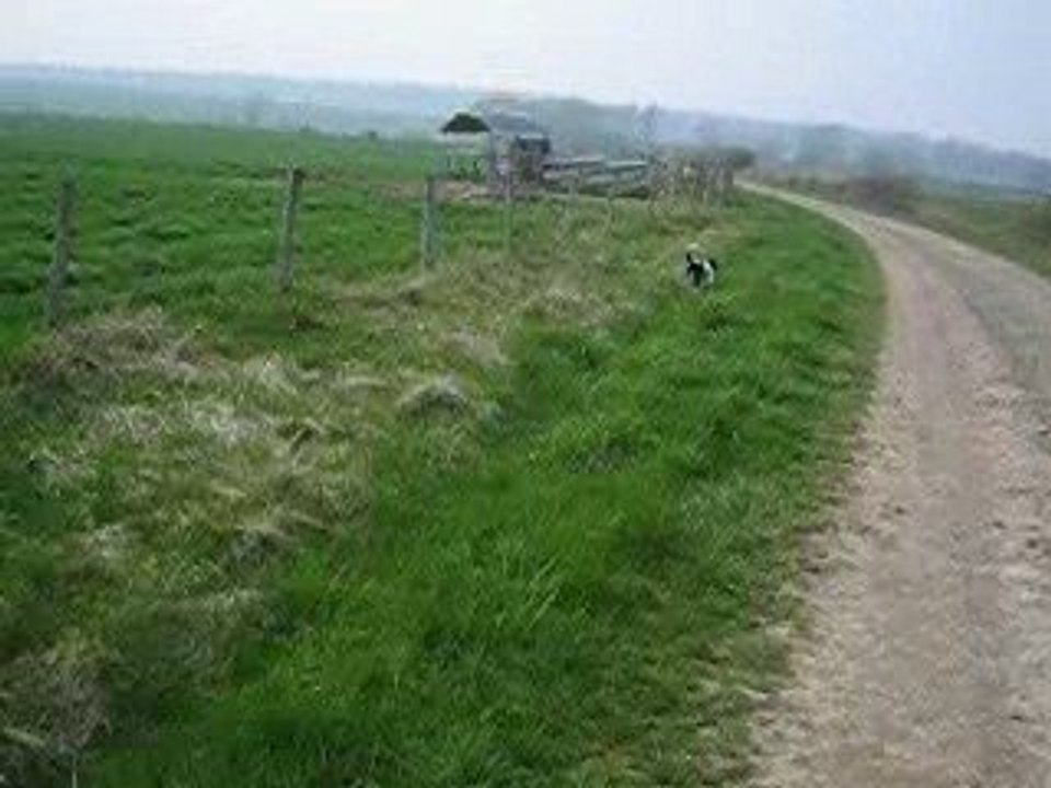 VIDEO LE LUNDI DE PAQUES 2009 006