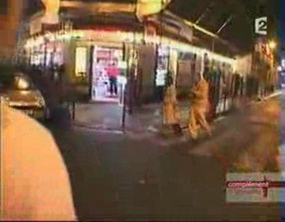 Milice Sioniste en France 2 - La protection française