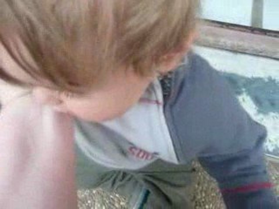 les pogres de thylian