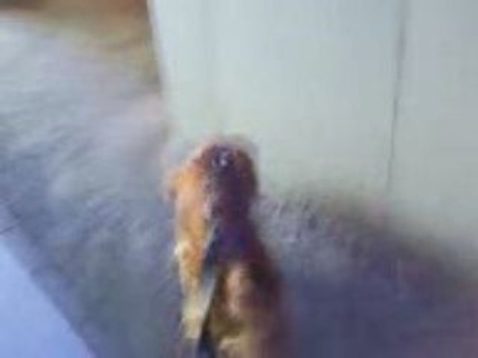 Vidéo0007