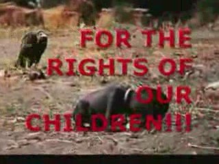 (hed) pe WAKE THE F UP!!!