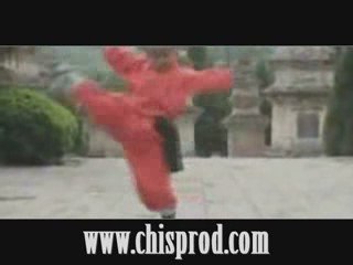 mini moine shaolin ( enfant exceptionel)