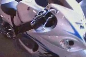 Big Dog Motorcycles - Pitbull - Mastiff - Ridgeback - Sal...