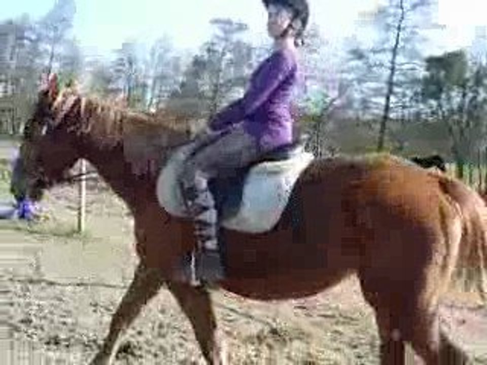 Equitation