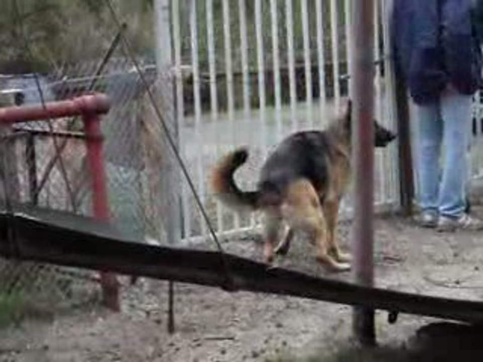 Travail au portail 1