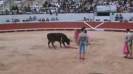 Arles 2009 : novillada non piquée