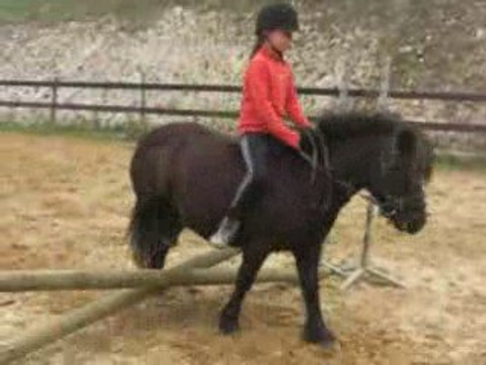 Chevaux 020