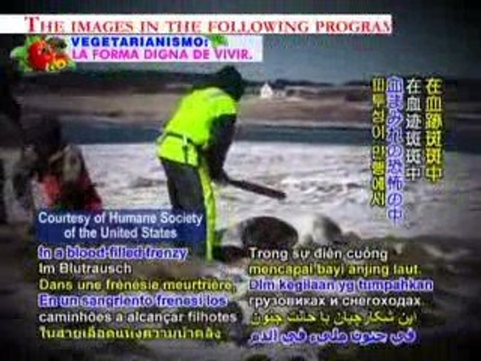 Canada, Barbaric acts of cruelty  1