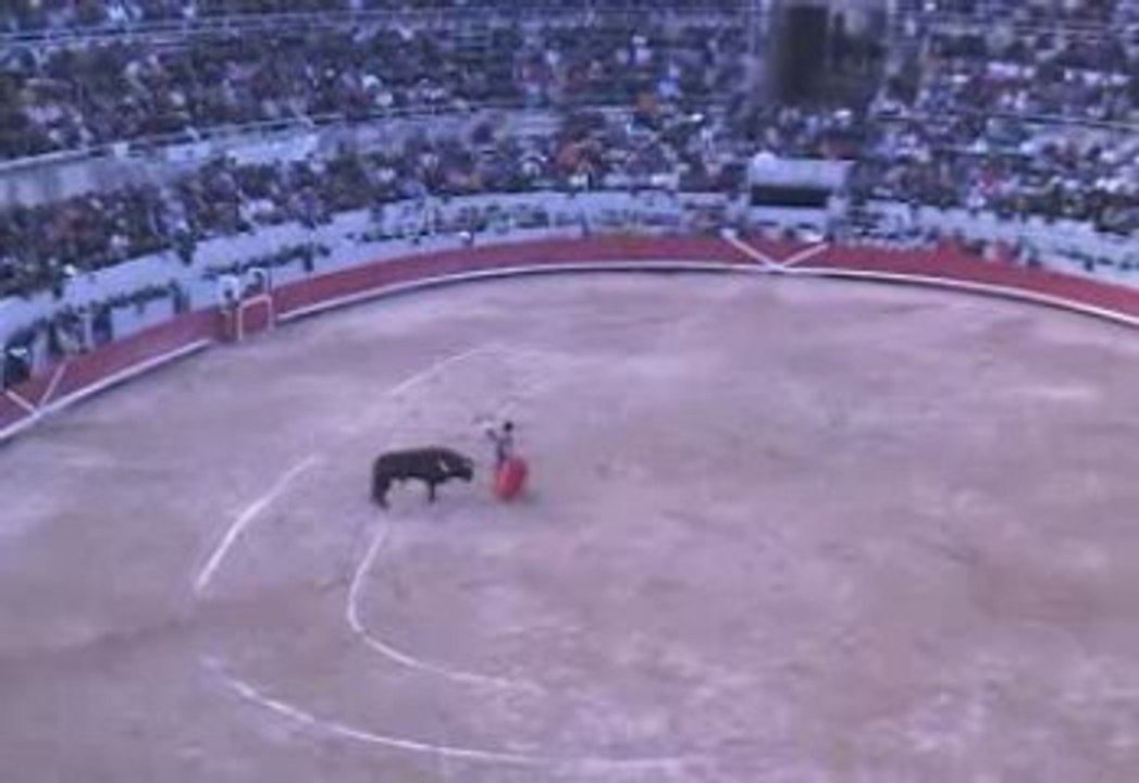 Triomphe Mehdi SAVALLI Arles 2009