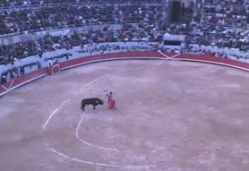 Triomphe Mehdi SAVALLI Arles 2009