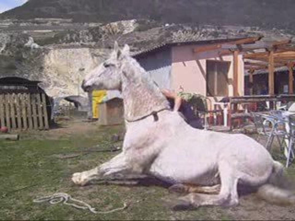 14 Avril Travail au sol