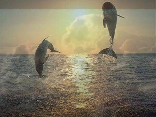 Paix et spiritualité