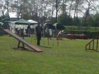 Agility Girlenhirsch