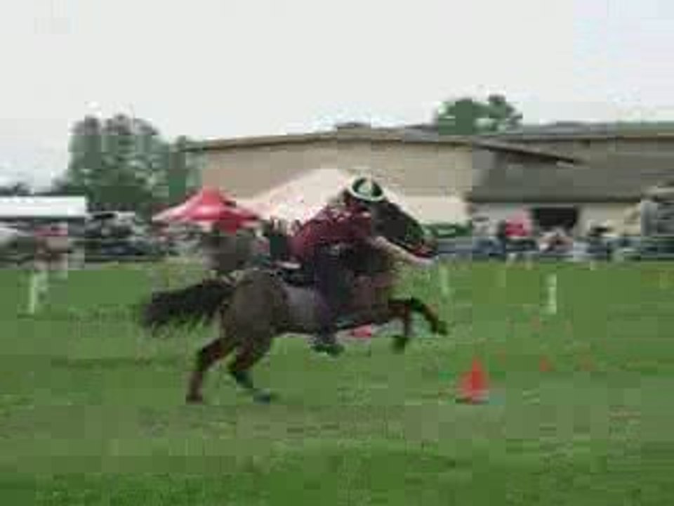 5 drapeaux peter dale tignieu stand by