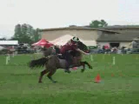 5 drapeaux peter dale tignieu stand by