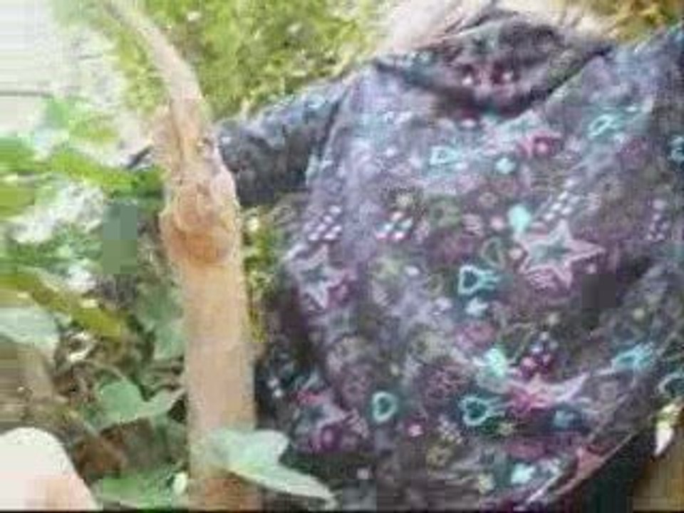 Domity et moi  arbre