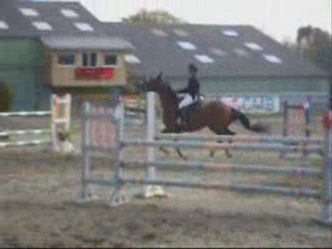 Concours chevaux (suite)