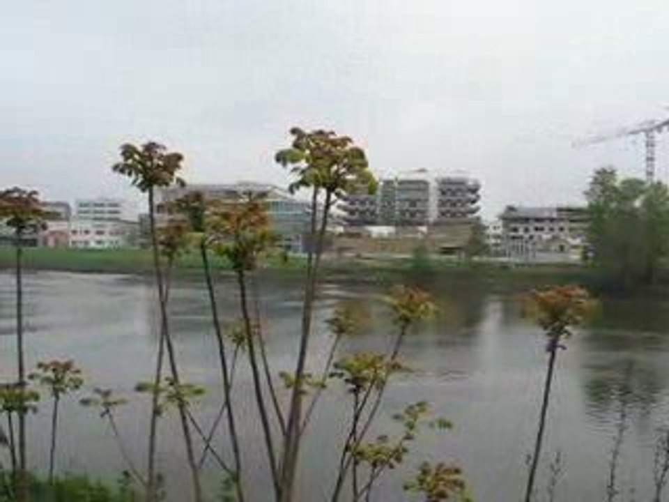 Nantes : skyline île