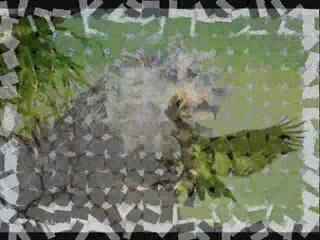 L'AIGLE NOIR ( Barbara )