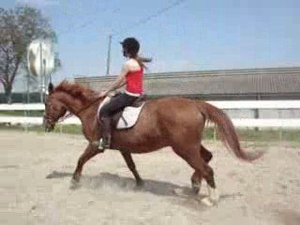Mon Cheval