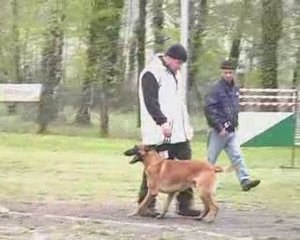 Gr5 1er sélectif Cransac 2009 Astek défense