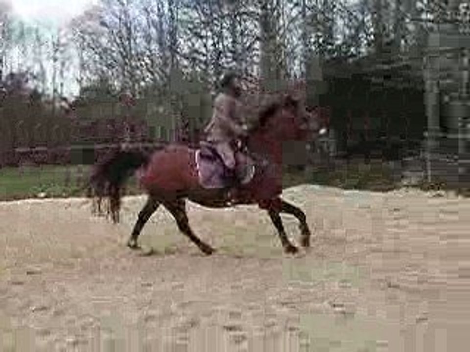 Nozgwenn 14-04-09 3