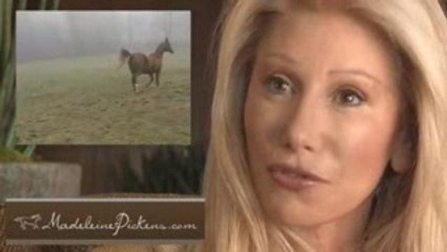 Madeleine Pickens' Wild Horse Sanctuary