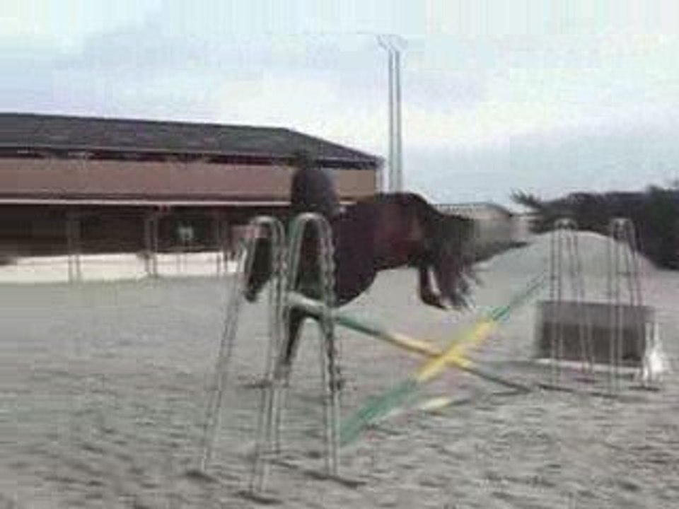 Alicia et River - Travail à l'obstacle chez Jean-Renaud ADDE