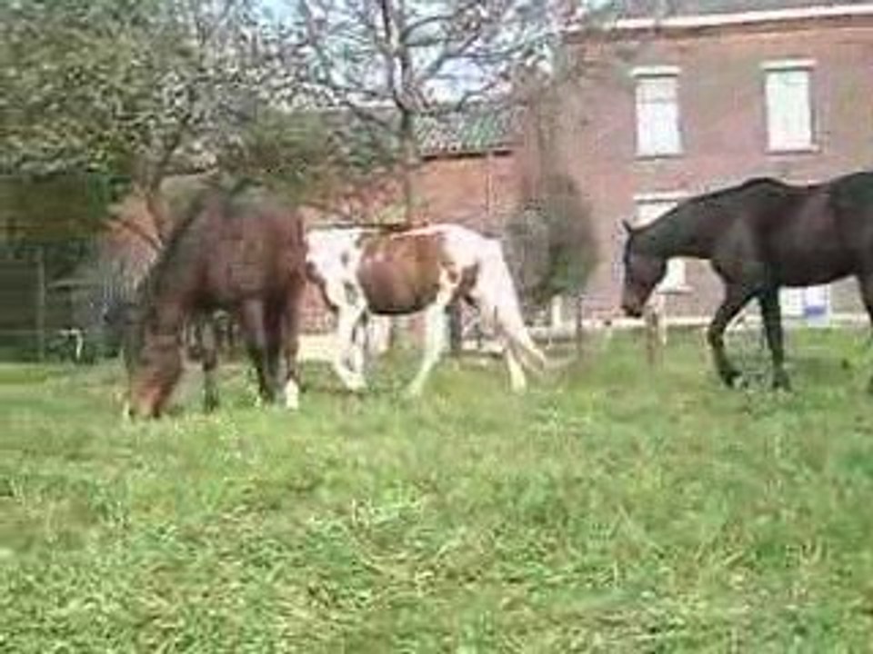 CLIP0025