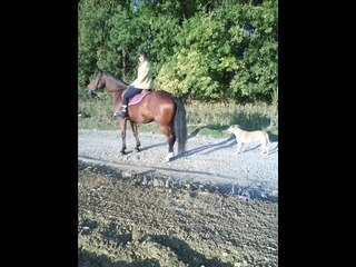 Ballade Septembre 2008 vidéo