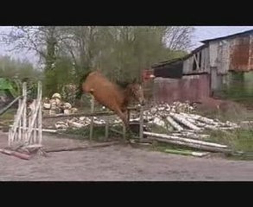 Tamise 14 Avril 2009