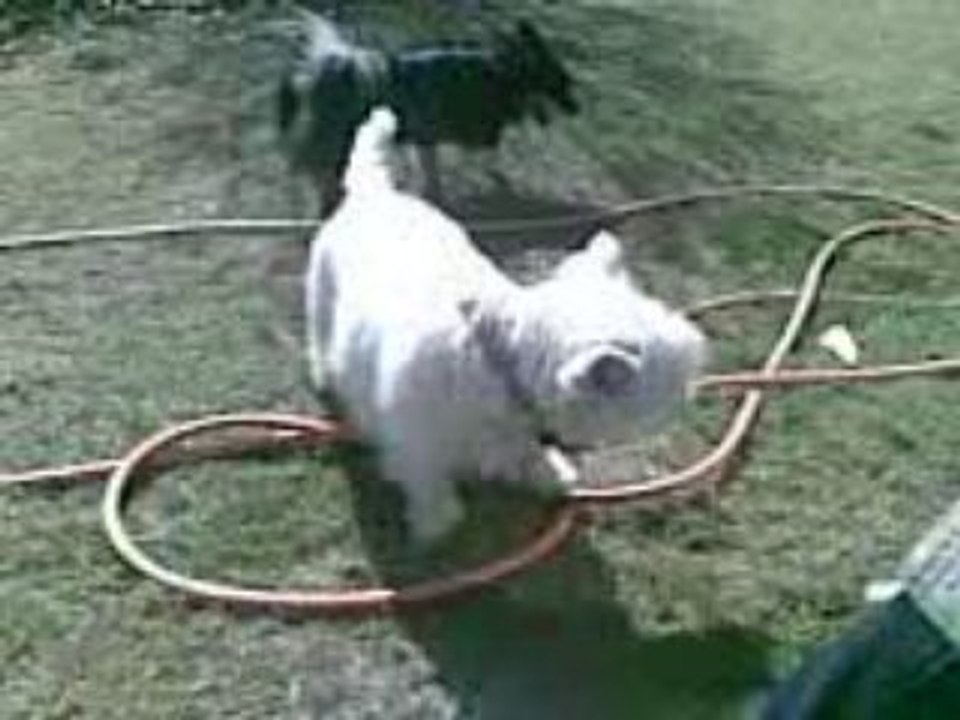 Fixy + Caïd jouent 2