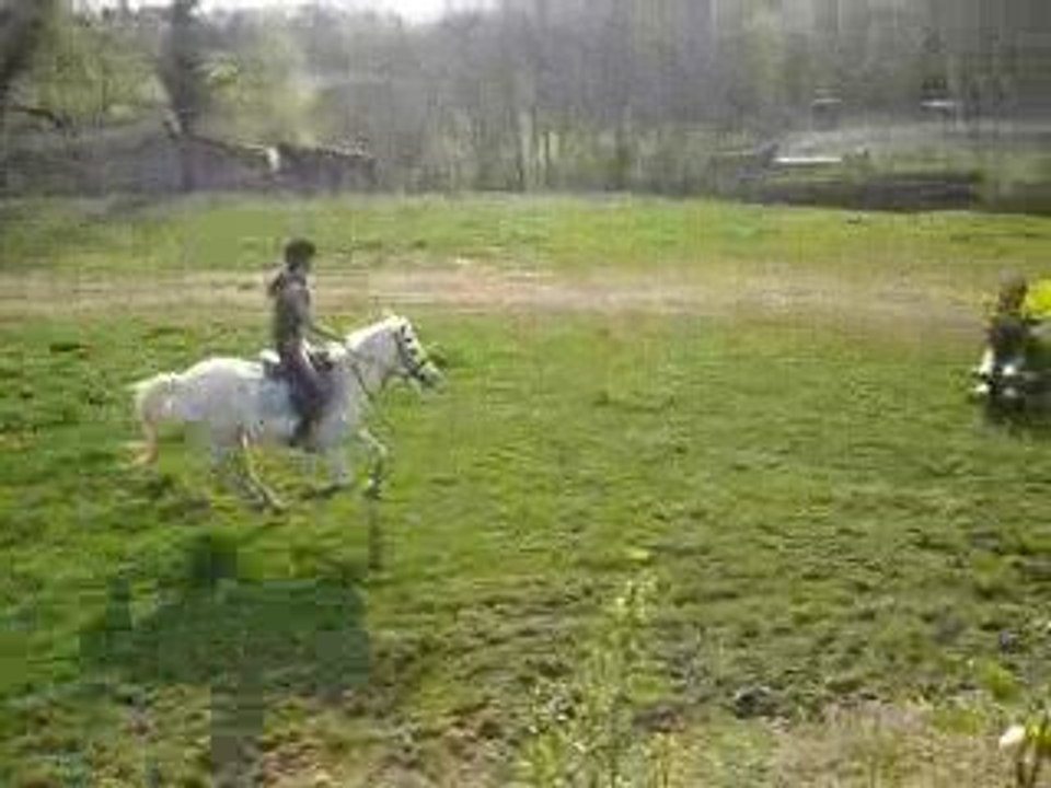 Cross Galop 6 Maylis