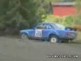 Lots of Rally Crashes