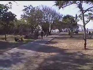 Your long and winding road