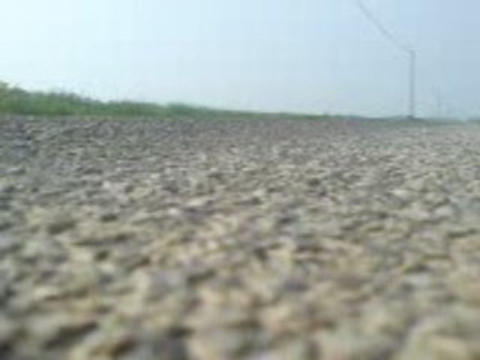 MOV02655