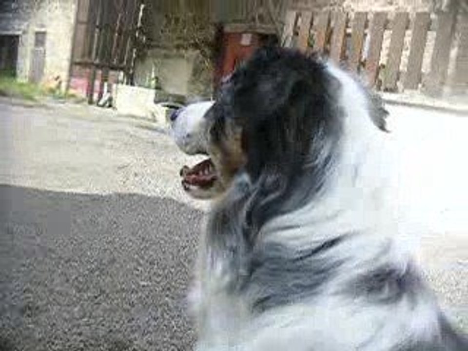 tal cherche 1
