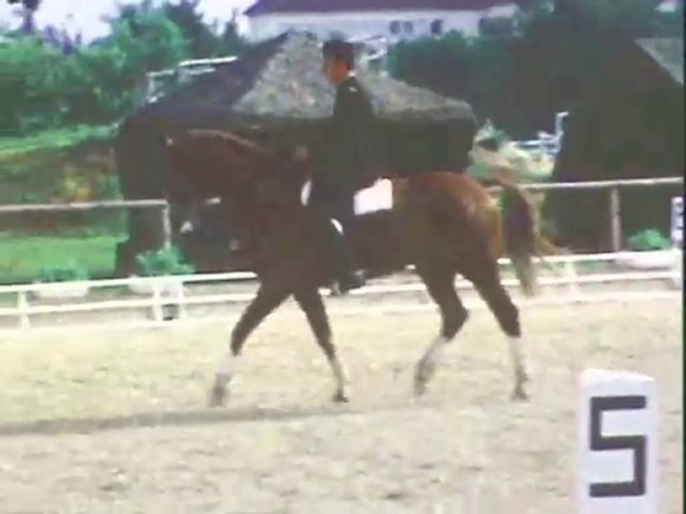 PLR  - Patrick LE ROLLAND sur Débarras - 1978